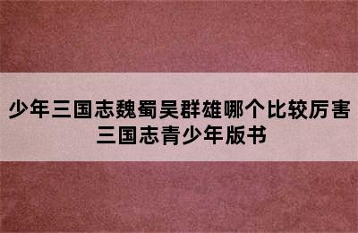 少年三国志魏蜀吴群雄哪个比较厉害 三国志青少年版书